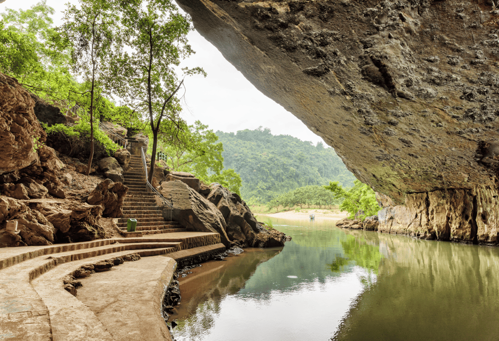 Entrance fees to Phong Nha Cave are clearly listed, allowing visitors to plan their exploration (Source: Canva)